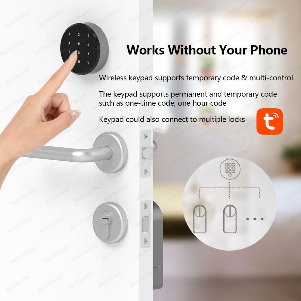 RAYKUBE A1 Pro Tuya BEL Smart  - Smart Door Lock Wifi recension och pris